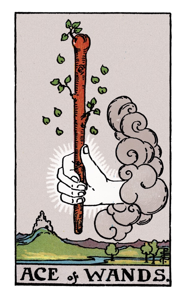 Ace of Wands