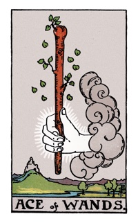 Ace of Wands