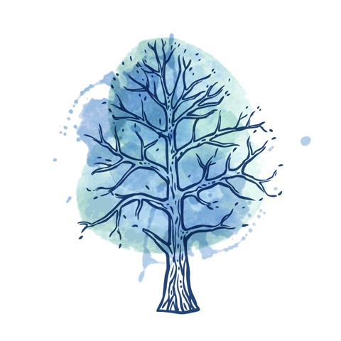 Winter Tarot Reading