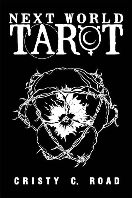 Next World Tarot: Deck and Guidebook Pocket Edition